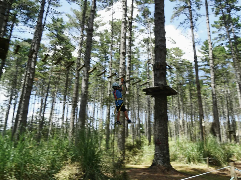 Zip-line and rope course at the Adventure Arena