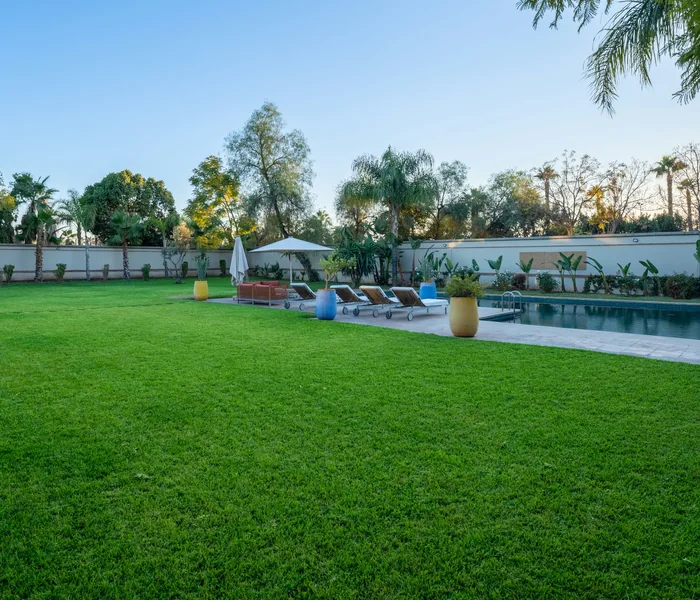 Poolside and lawn area